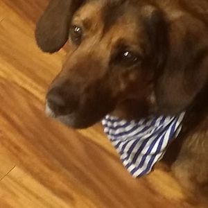 Meet your Posher, Chloe